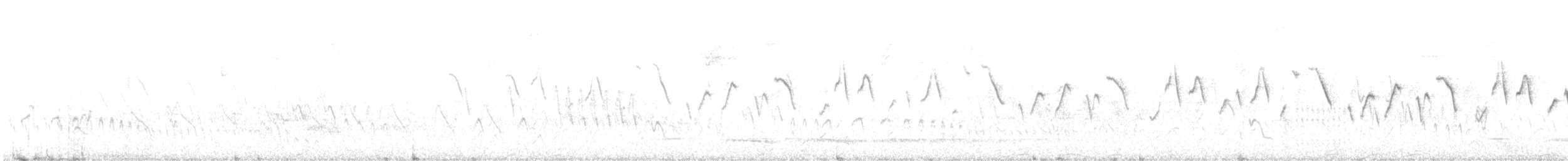 Brillenwaldsänger - ML644143597