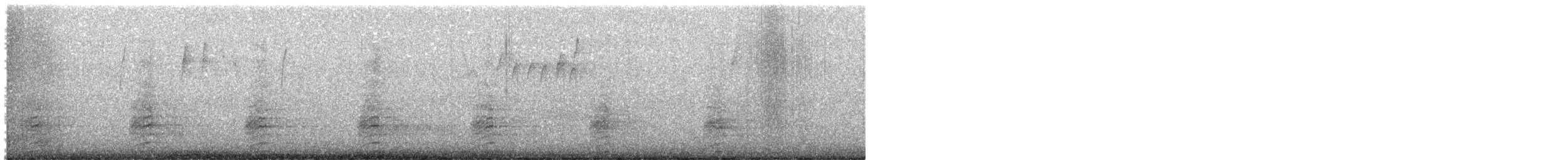 コガモ - ML644144239