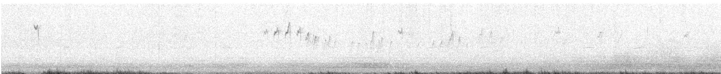 linduška luční - ML644144247