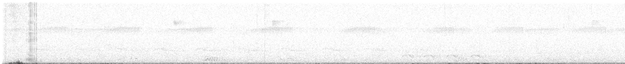 Guajolote Gallipavo - ML644144540