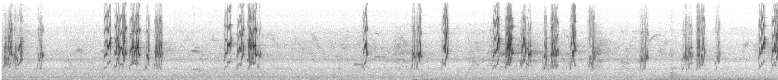 Cobalt-rumped Parrotlet - ML644144800