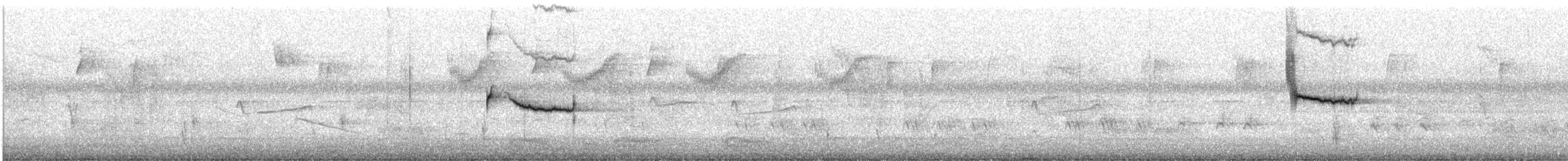 Braunkopf-Kuhstärling - ML644144822