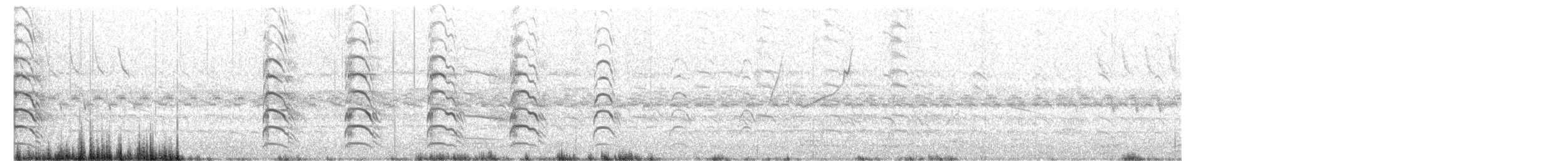 Şili Kızkuşu - ML644144872