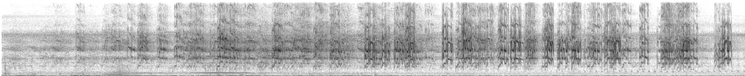 Sittich, unbestimmt - ML644145128