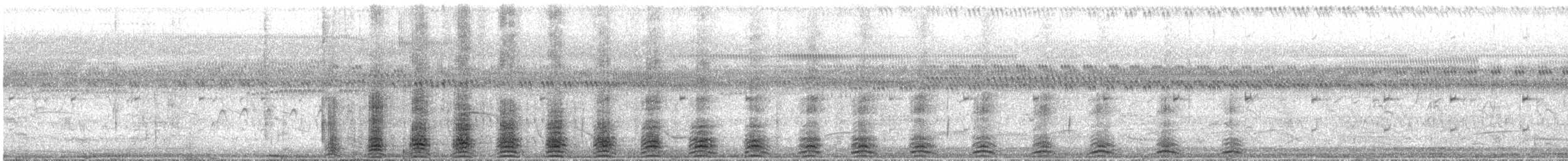 Avetigre Colorada - ML644145179