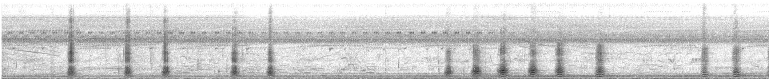 Avetigre Colorada - ML644145180