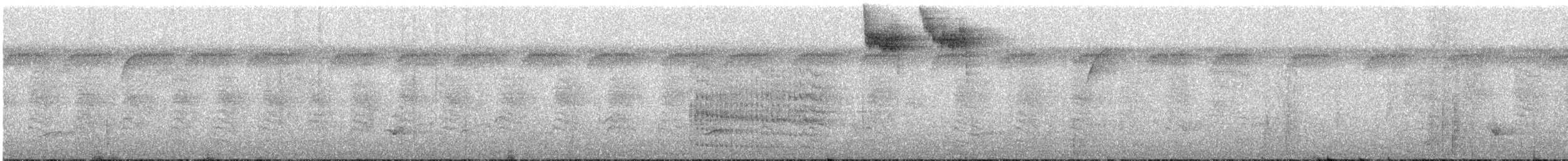 White-lored Gnatcatcher - ML644146046