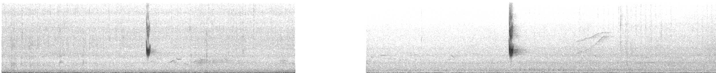 マミジロマネシツグミ - ML644146725