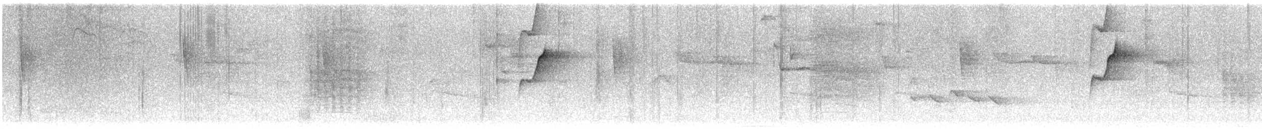 Western Flycatcher (Pacific-slope) - ML644146727