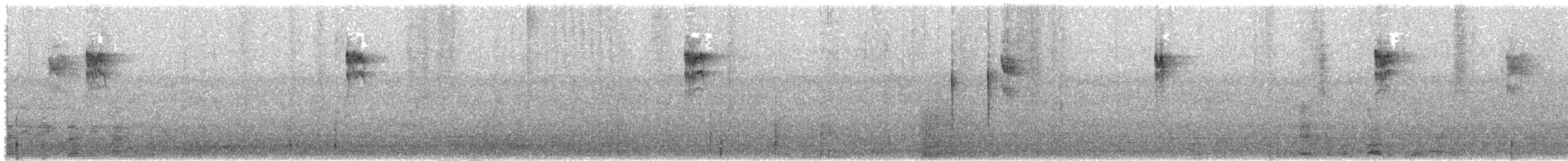 Ficedula sp. - ML644146945