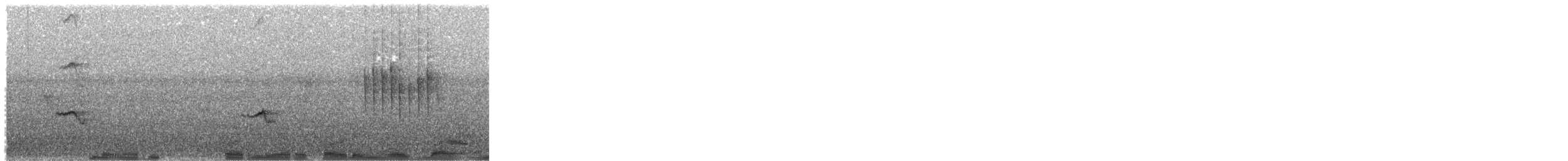 Ficedula sp. - ML644147181