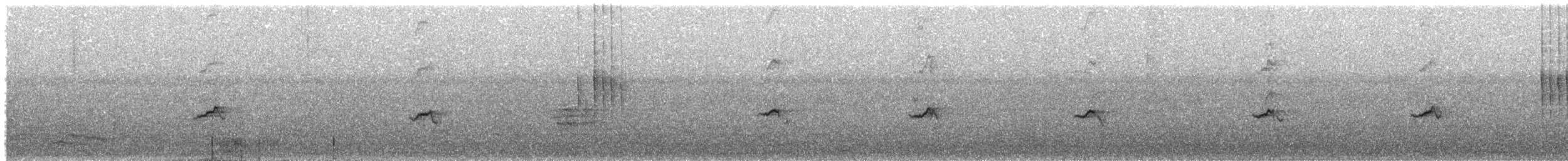 Ficedula sp. - ML644147186