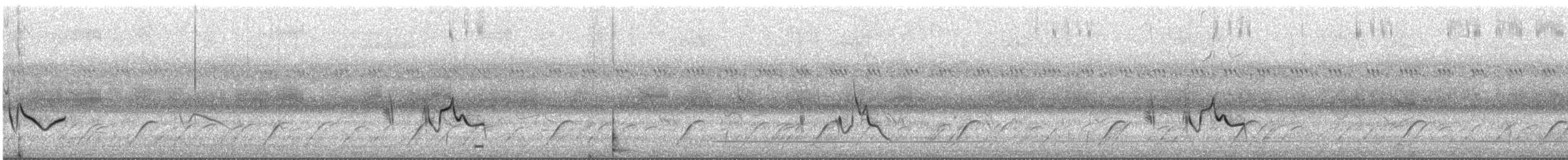 Wedge-tailed Grass-Finch - ML644147403