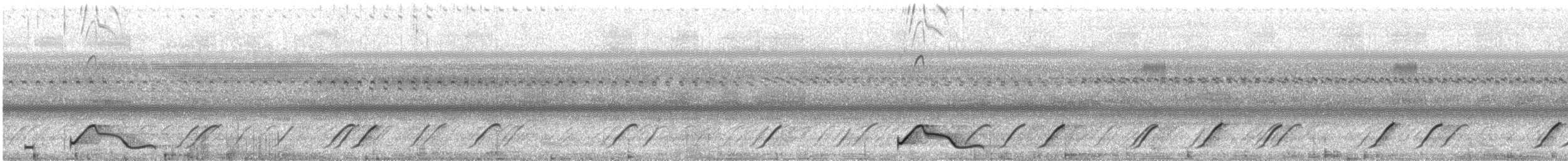 Cobalt-rumped Parrotlet - ML644147424