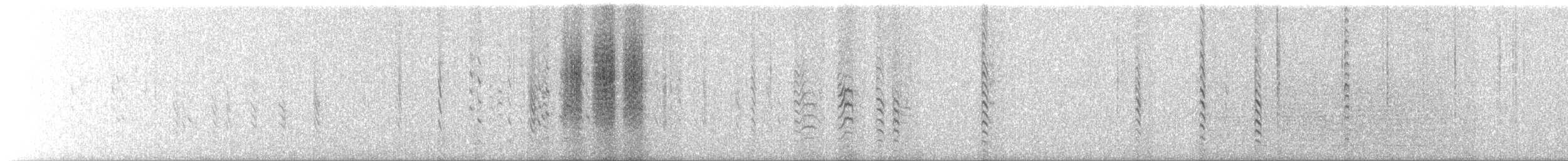 Red-breasted Nuthatch - ML644147429