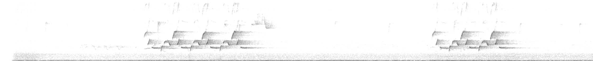 Carolina Wren - ML644148046