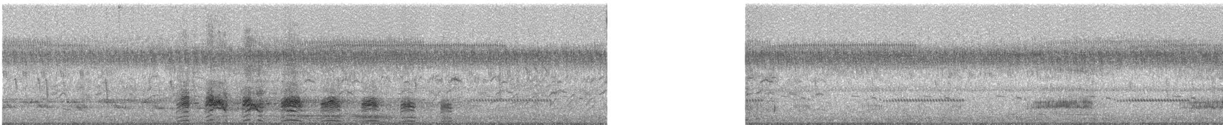 アカボシカルガモ - ML644148478