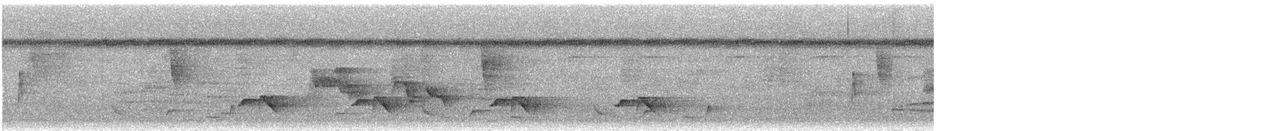 Black-bellied Wren - ML644148982