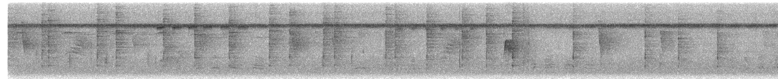 White-browed Gnatcatcher - ML644149495