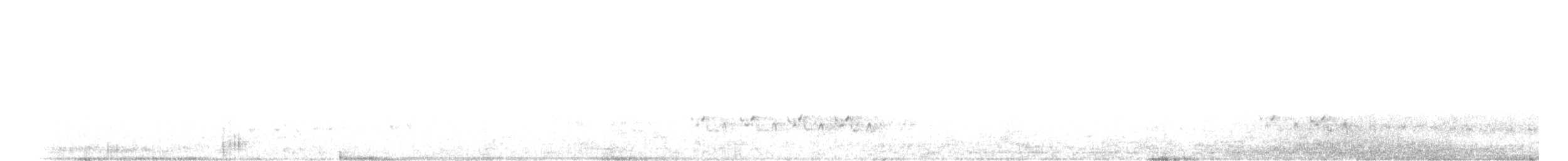 Carolina Wren - ML644149679