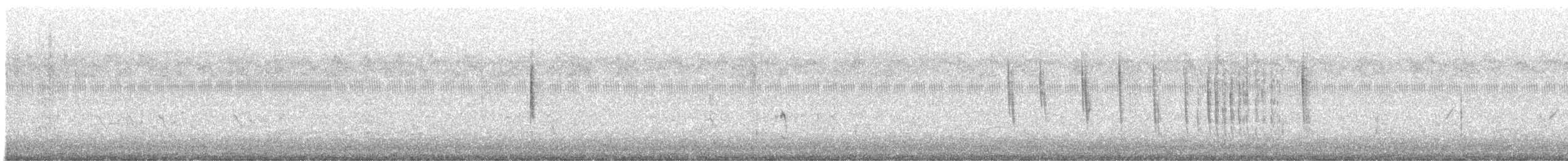 Sedge Wren - ML644150969