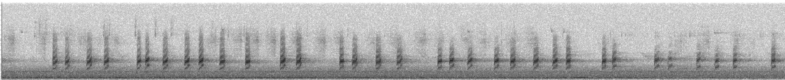 Carolina Wren - ML644151332