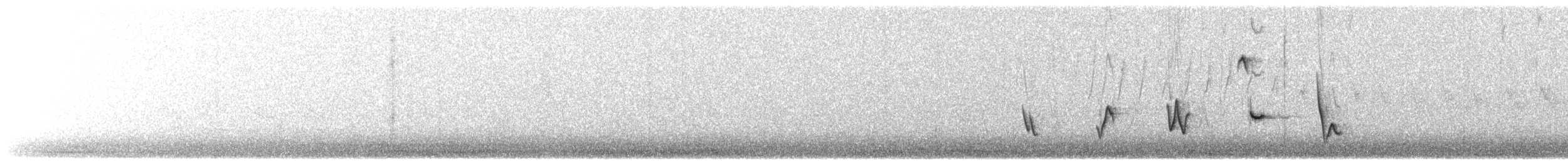 Diuca Finch - ML644151622