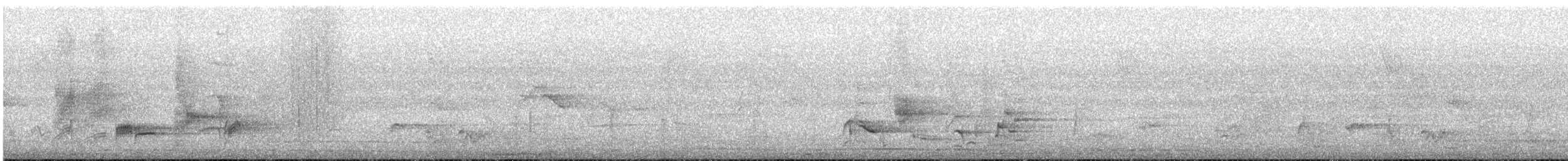 Black-bellied Starling - ML644152067