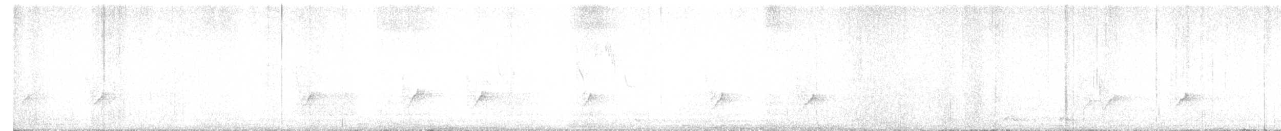 סיטה אירופית (מערבית) - ML644152409