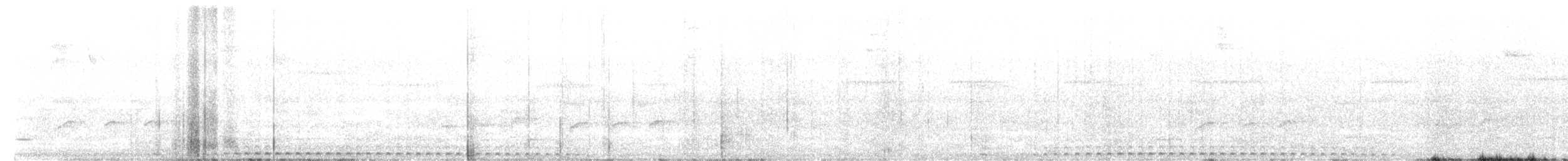 Puerto Rican Owl - ML644152431