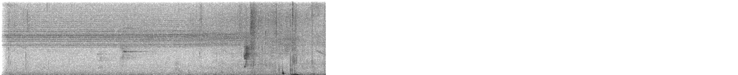 African Goshawk (Pemba) - ML644152781