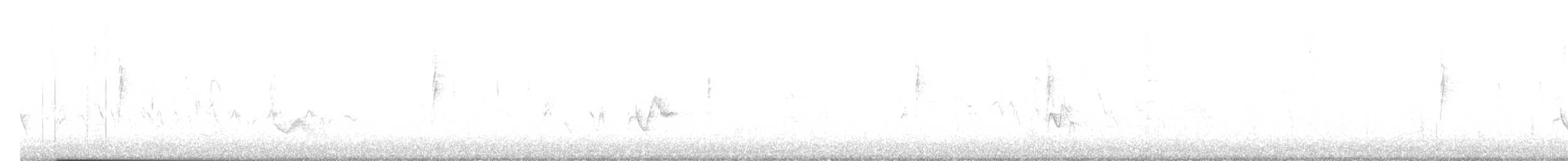Plumbeous Vireo - ML644153062