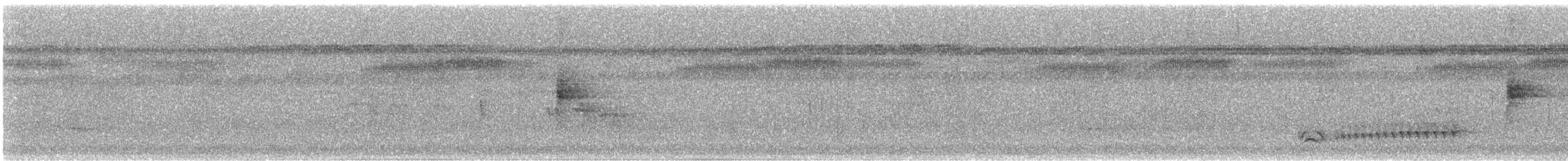 Black-crowned Antshrike - ML644153598