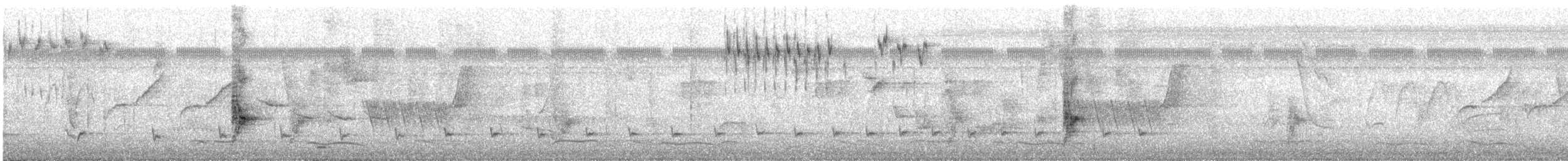 Black-cowled Oriole - ML644153634
