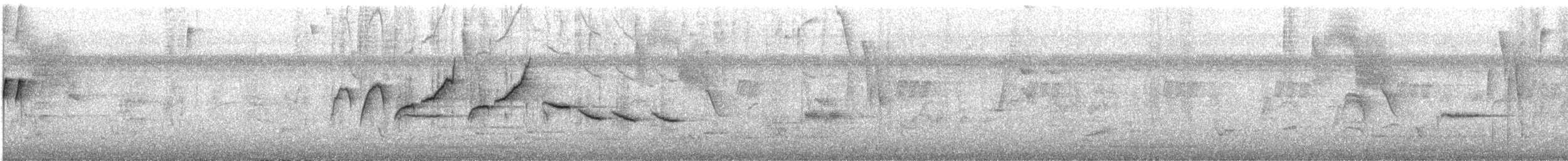 hvitkragefrøeter - ML644153682