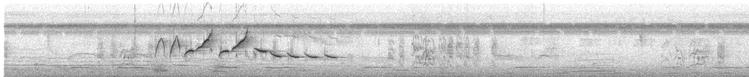 hvitkragefrøeter - ML644153690