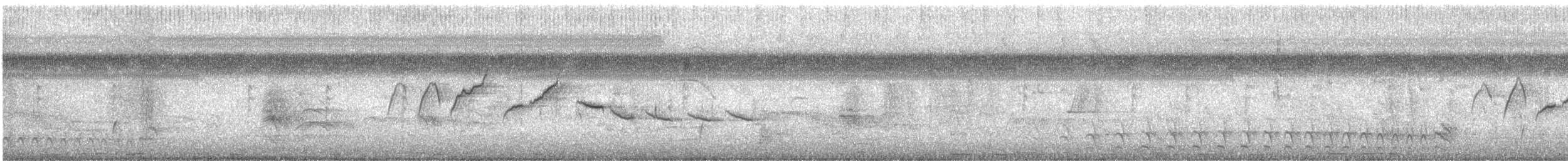 hvitkragefrøeter - ML644153691