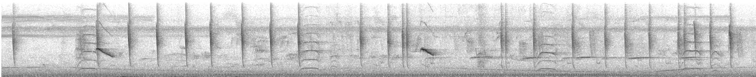 hvitkragefrøeter - ML644153694