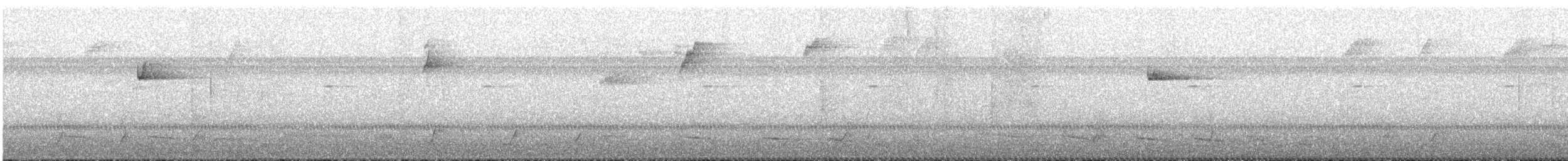 Collared Trogon - ML644153922