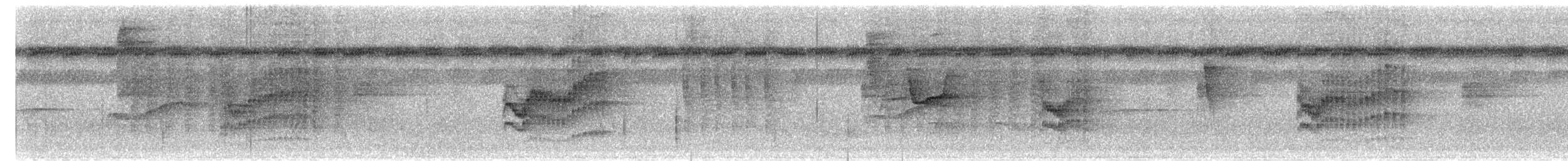 クリムネマユミソサザイ - ML644154111