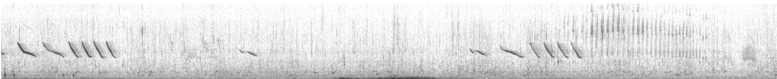 Bruant chingolo (australis) - ML644154749