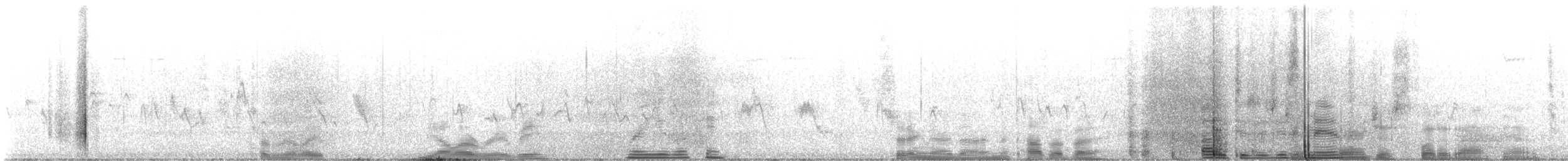 キヅタアメリカムシクイ（coronata） - ML644155200