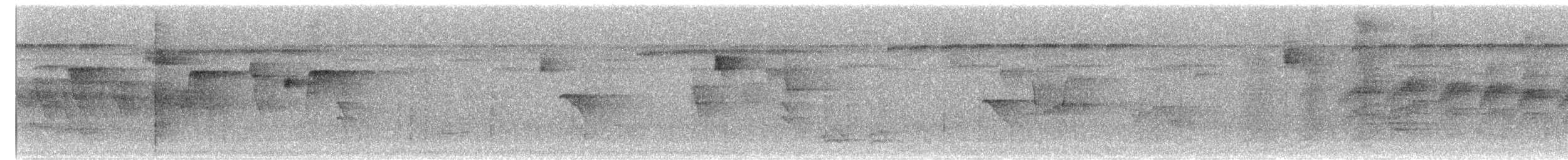 Dot-winged Antwren - ML644155492