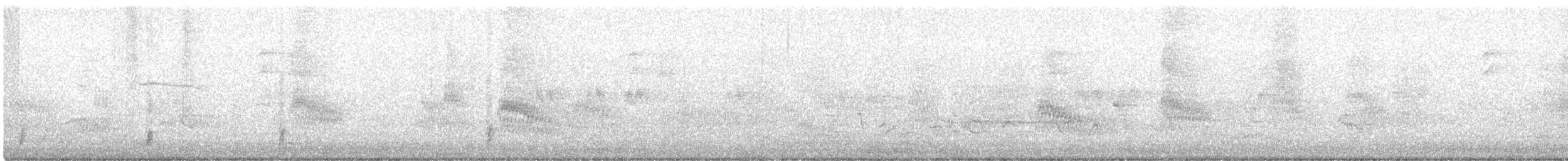 Swainson's Thrush - ML644155510