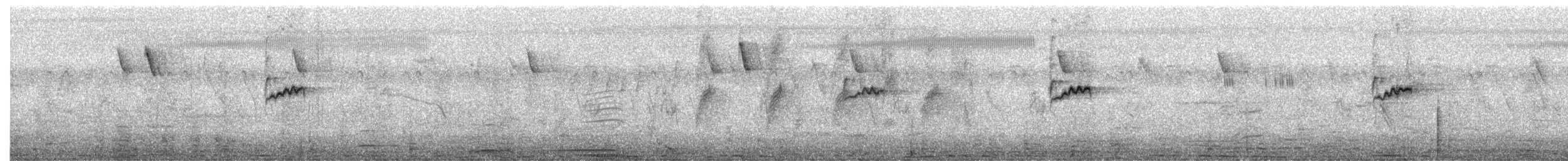 strdimil obojkový - ML644156538