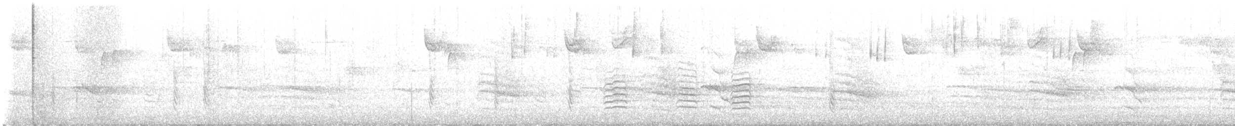 Red-breasted Nuthatch - ML644156804