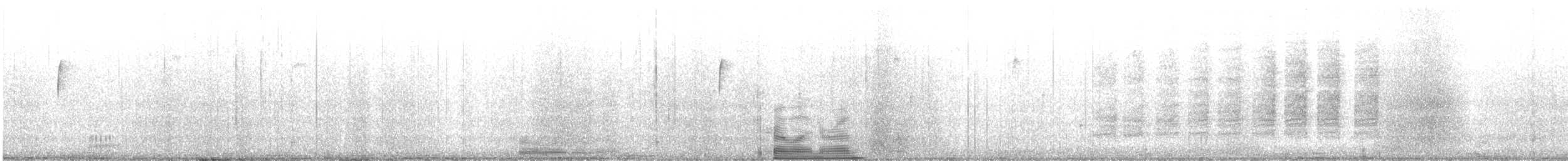 チャバラマユミソサザイ - ML644156836