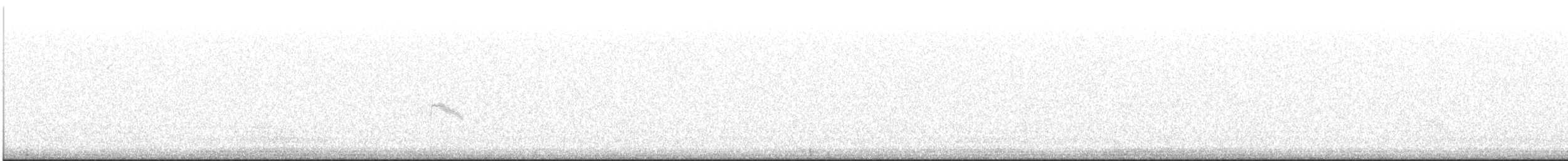 Gray-cheeked Thrush - ML644156944