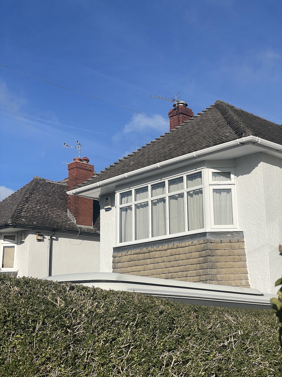 Eurasian Magpie - Catherine Neal