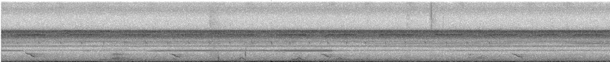 Pacific Screech-Owl (lambi) - ML644157453